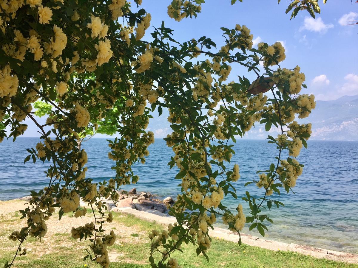 Piccolo Hotel Direkt Am See Brenzone sul Garda Εξωτερικό φωτογραφία